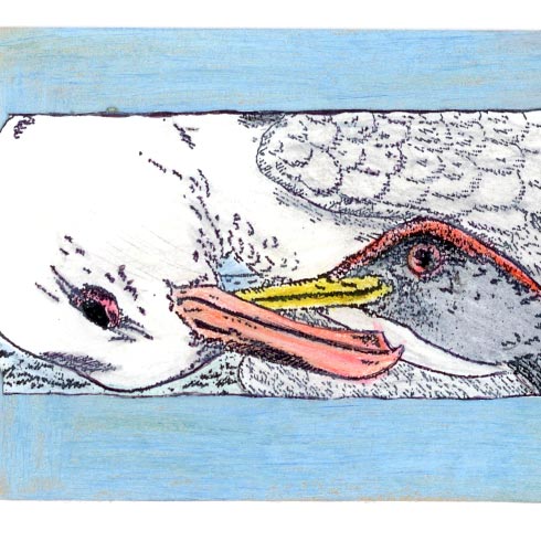 Wie spät ist es? - Es ist Juni!