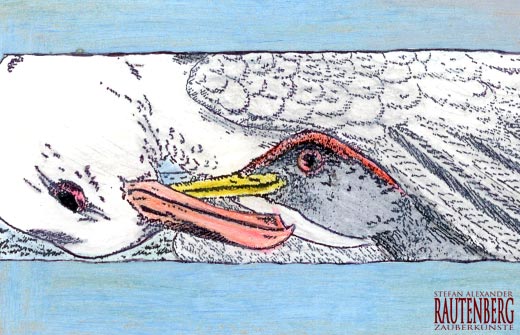 Wie spät ist es? - Es ist Juni!